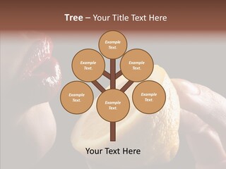 Red Woman Lips With Hand Holding Lemon PowerPoint Template