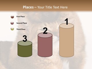 Staring Dreaminess Single PowerPoint Template