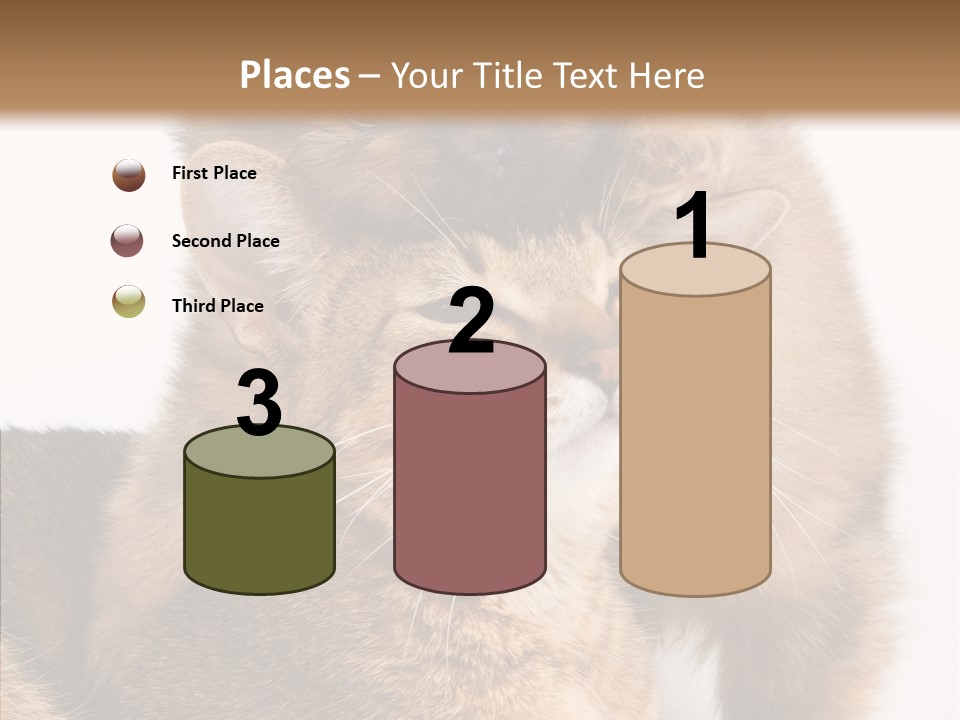 Staring Dreaminess Single PowerPoint Template