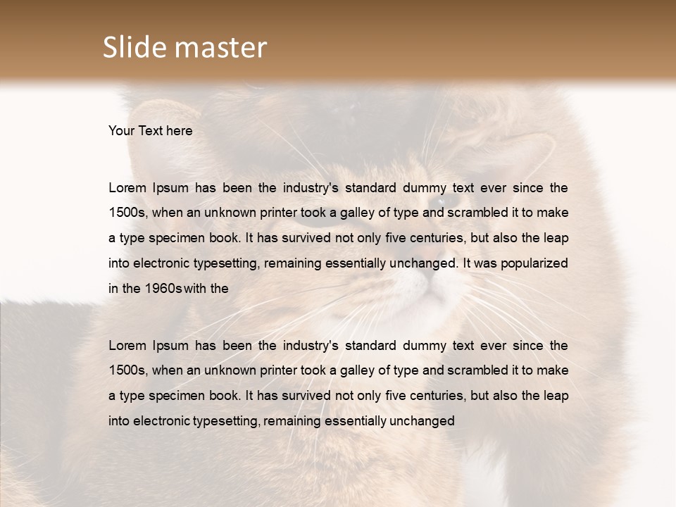 Staring Dreaminess Single PowerPoint Template