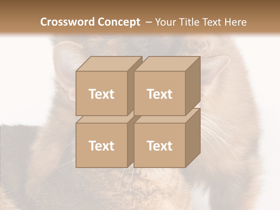 Staring Dreaminess Single PowerPoint Template