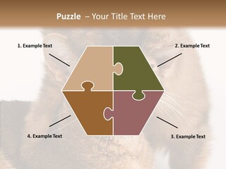 Staring Dreaminess Single PowerPoint Template