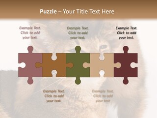 Staring Dreaminess Single PowerPoint Template