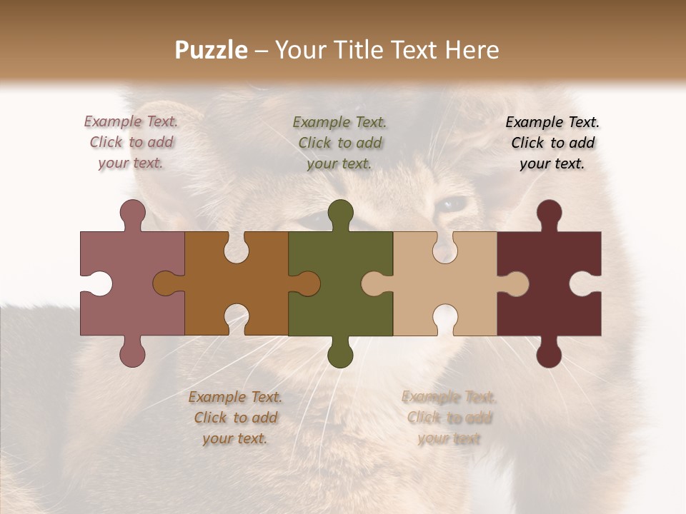 Staring Dreaminess Single PowerPoint Template