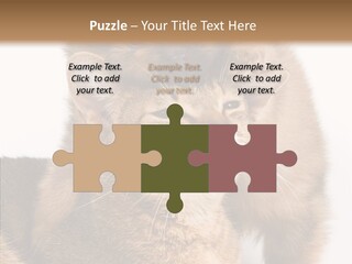 Staring Dreaminess Single PowerPoint Template