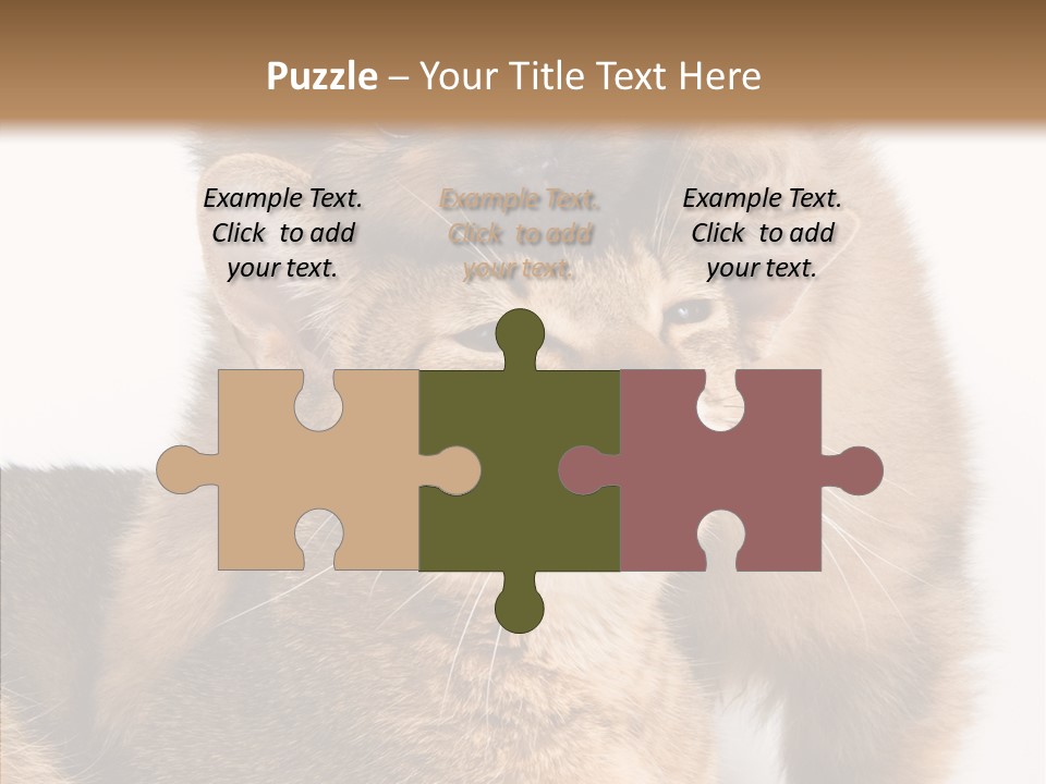 Staring Dreaminess Single PowerPoint Template