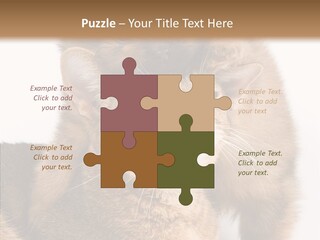 Staring Dreaminess Single PowerPoint Template