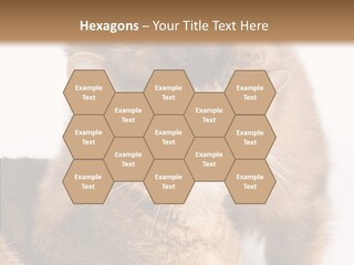 Staring Dreaminess Single PowerPoint Template