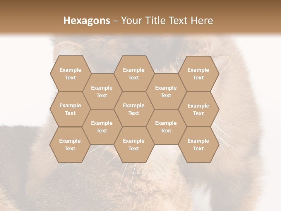 Staring Dreaminess Single PowerPoint Template