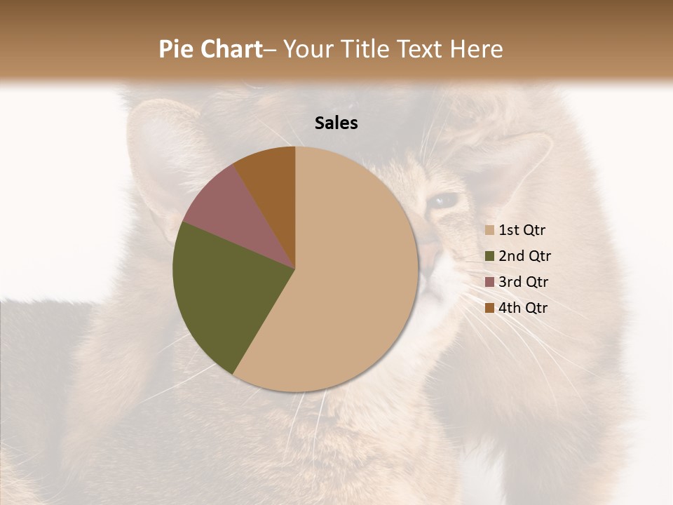 Staring Dreaminess Single PowerPoint Template