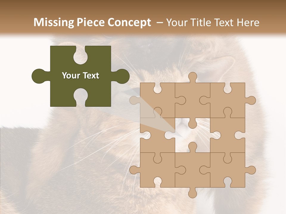 Staring Dreaminess Single PowerPoint Template