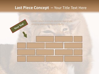 Staring Dreaminess Single PowerPoint Template