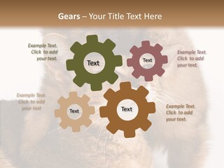 Staring Dreaminess Single PowerPoint Template