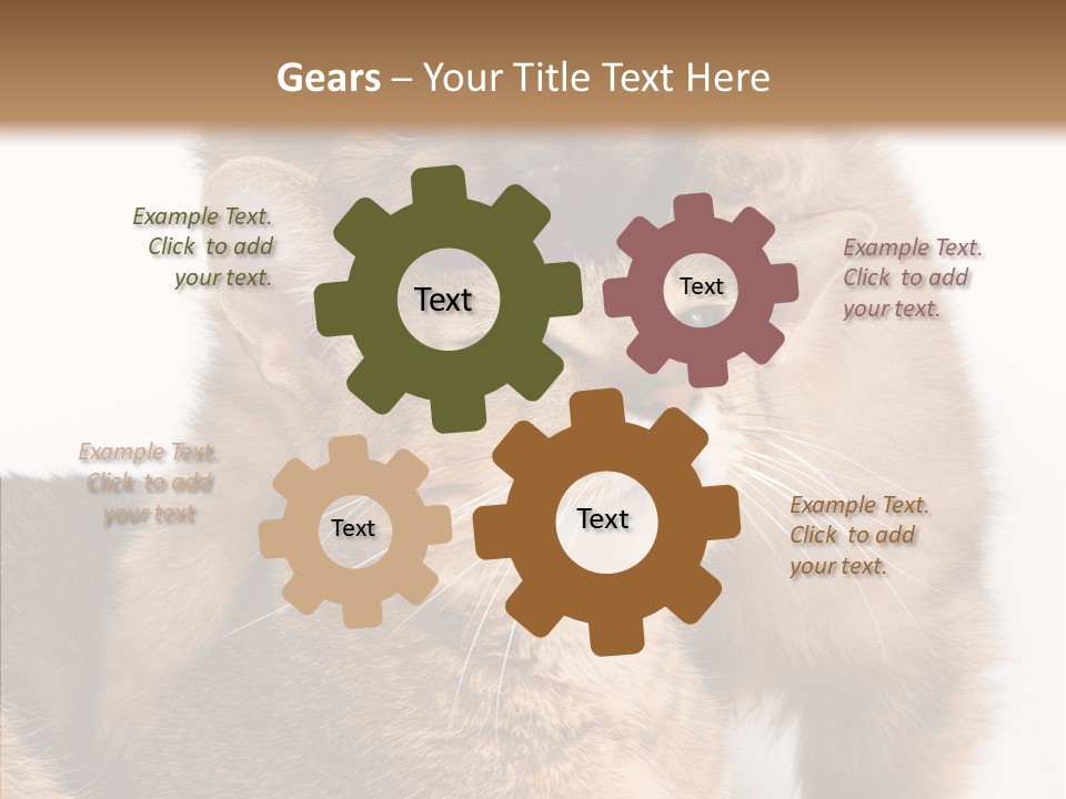 Staring Dreaminess Single PowerPoint Template