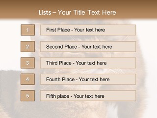 Staring Dreaminess Single PowerPoint Template