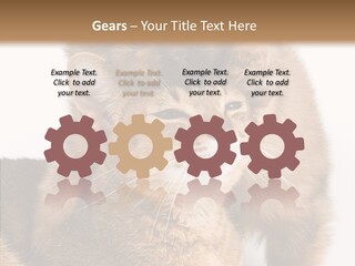 Staring Dreaminess Single PowerPoint Template