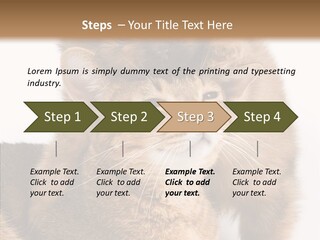 Staring Dreaminess Single PowerPoint Template