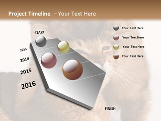 Staring Dreaminess Single PowerPoint Template