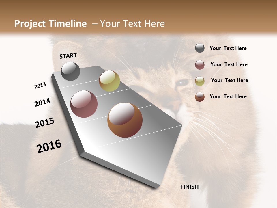 Staring Dreaminess Single PowerPoint Template