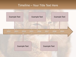 Staring Dreaminess Single PowerPoint Template