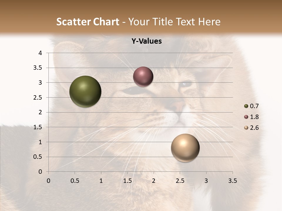 Staring Dreaminess Single PowerPoint Template