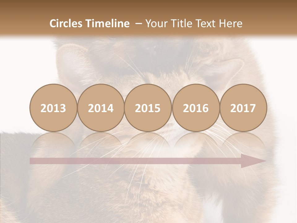 Staring Dreaminess Single PowerPoint Template