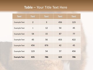 Staring Dreaminess Single PowerPoint Template