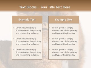 Staring Dreaminess Single PowerPoint Template