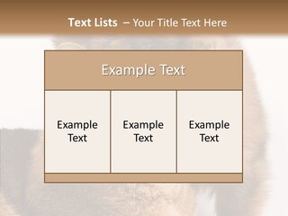 Staring Dreaminess Single PowerPoint Template