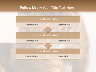 Staring Dreaminess Single PowerPoint Template