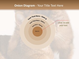 Staring Dreaminess Single PowerPoint Template