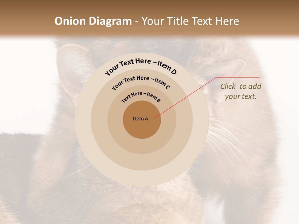 Staring Dreaminess Single PowerPoint Template