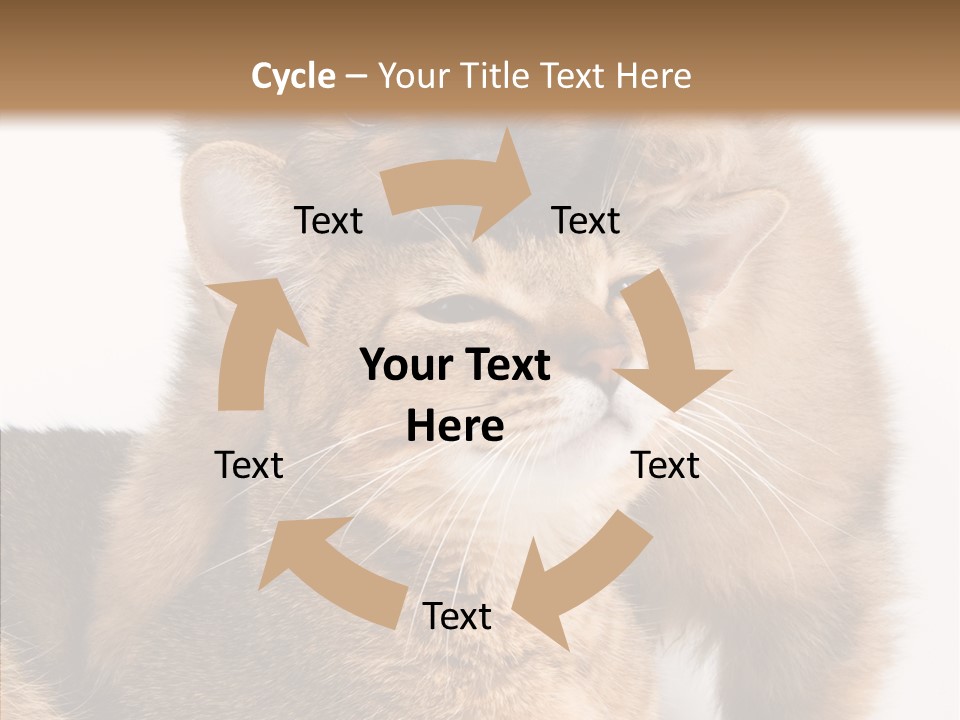 Staring Dreaminess Single PowerPoint Template