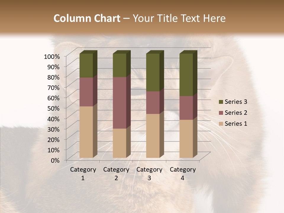 Staring Dreaminess Single PowerPoint Template