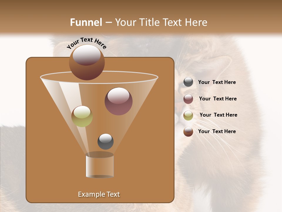Staring Dreaminess Single PowerPoint Template