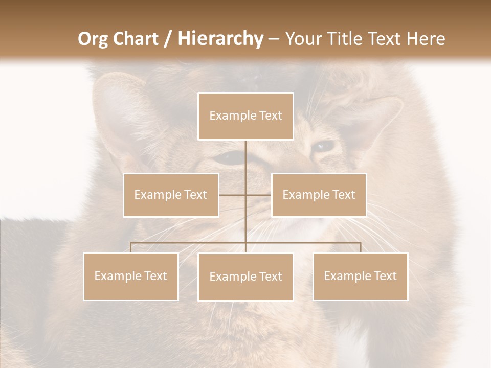 Staring Dreaminess Single PowerPoint Template
