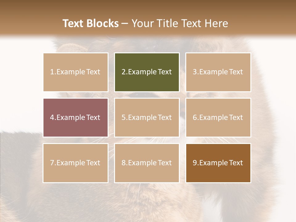 Staring Dreaminess Single PowerPoint Template