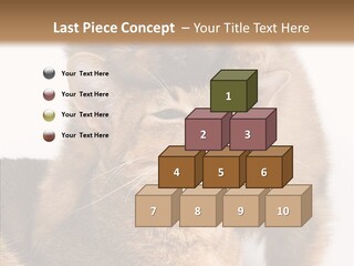 Staring Dreaminess Single PowerPoint Template