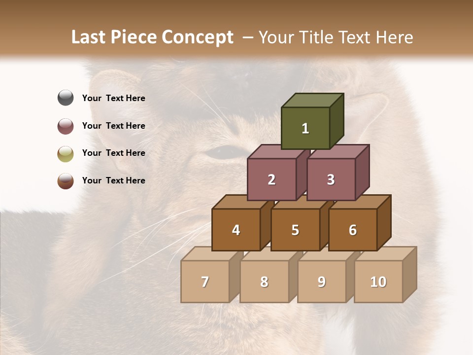 Staring Dreaminess Single PowerPoint Template