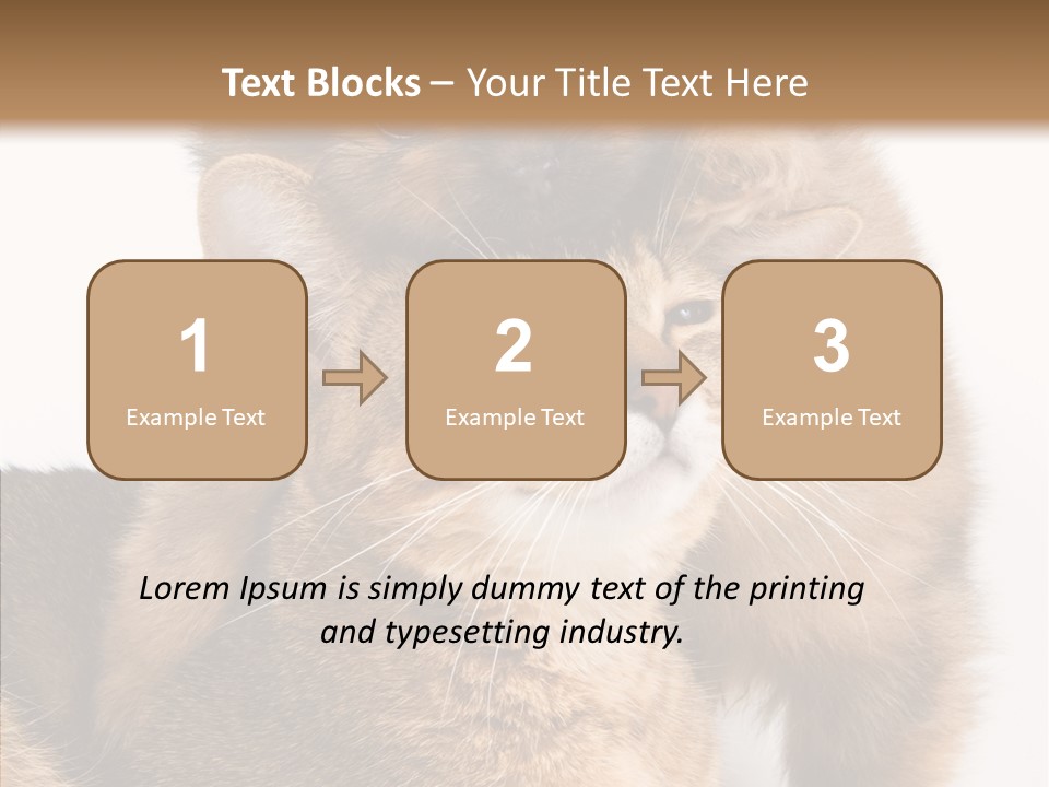 Staring Dreaminess Single PowerPoint Template