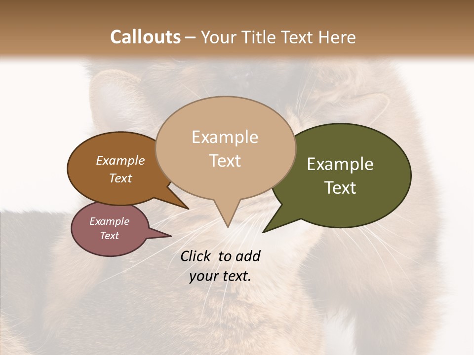 Staring Dreaminess Single PowerPoint Template