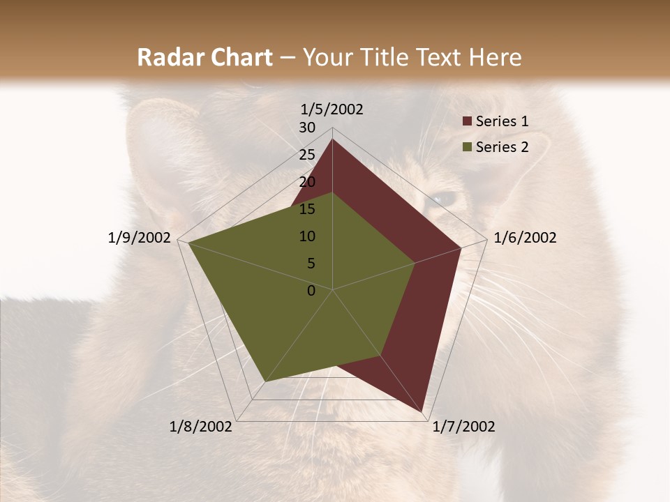 Staring Dreaminess Single PowerPoint Template