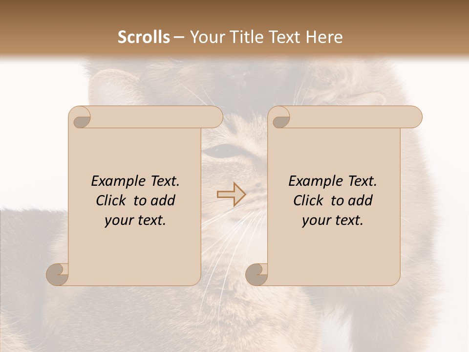 Staring Dreaminess Single PowerPoint Template