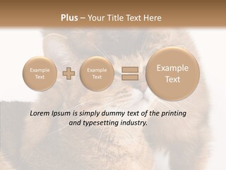 Staring Dreaminess Single PowerPoint Template