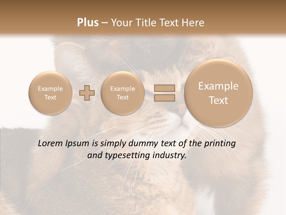 Staring Dreaminess Single PowerPoint Template