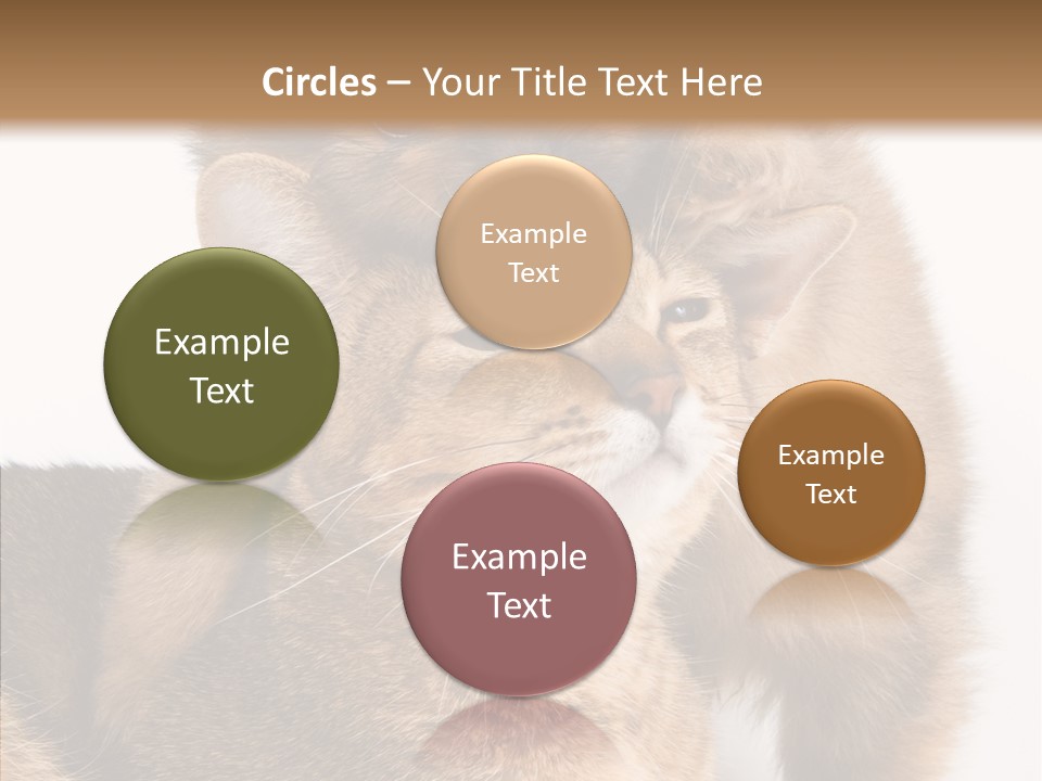Staring Dreaminess Single PowerPoint Template