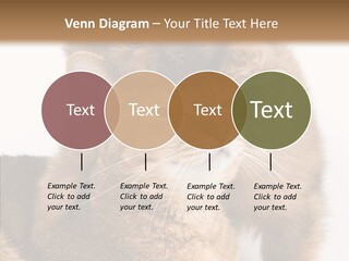 Staring Dreaminess Single PowerPoint Template