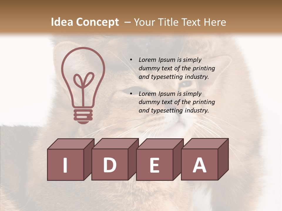 Staring Dreaminess Single PowerPoint Template