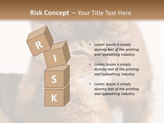 Staring Dreaminess Single PowerPoint Template