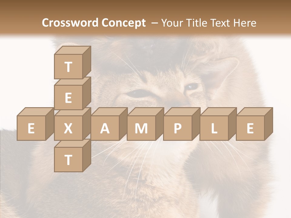 Staring Dreaminess Single PowerPoint Template
